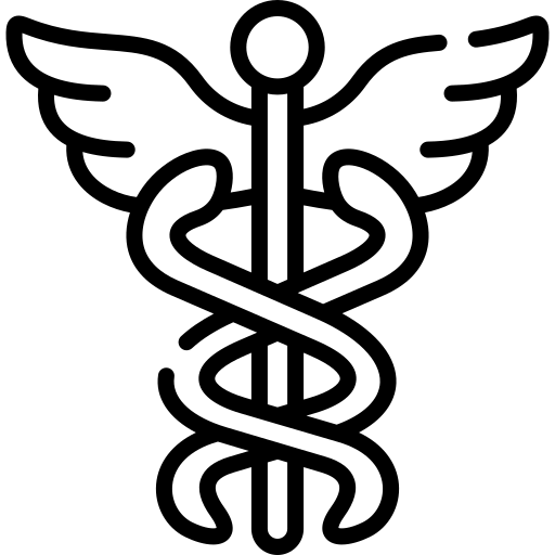 nautilus shell design